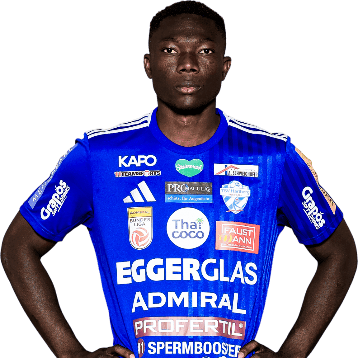 Youba Diarra